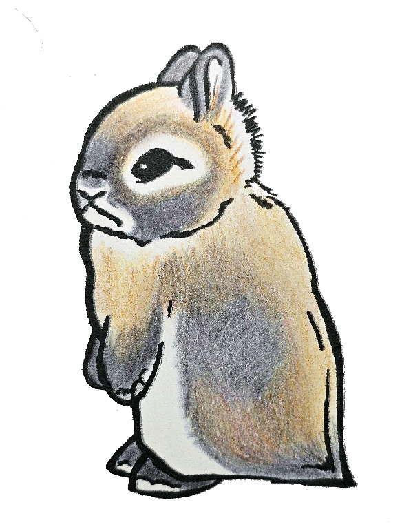 Blue Fox 2" Vinyl Netherland Dwarf Sticker