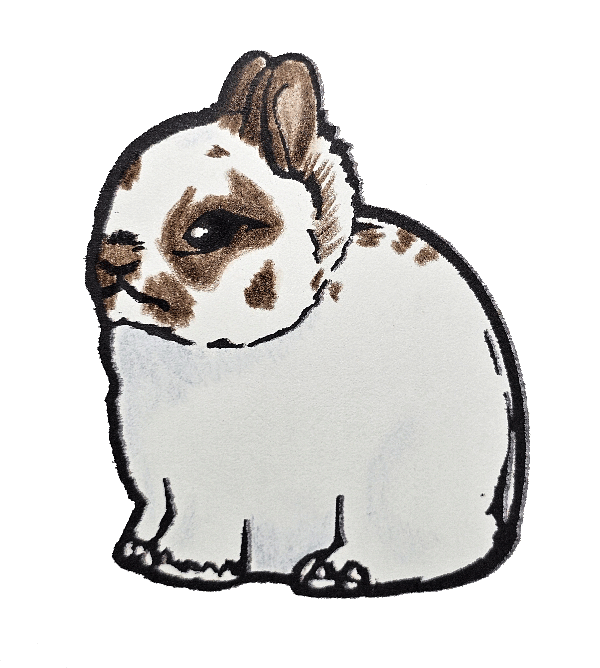 Broken 2" Vinyl Netherland Dwarf Sticker