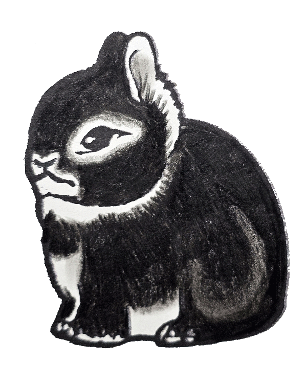 Black Silver Marten 2" Vinyl Netherland Dwarf Sticker