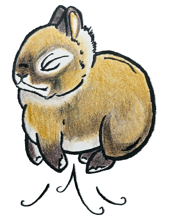 Black Fox 2" Vinyl Netherland Dwarf Sticker