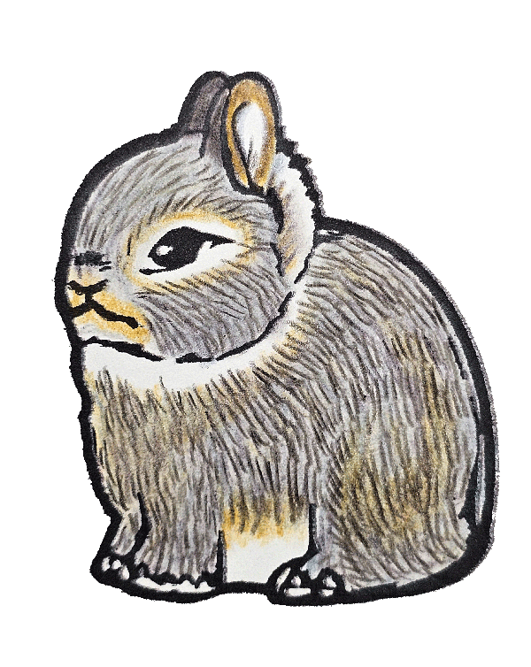 Opal 2" Vinyl Netherland Dwarf Sticker