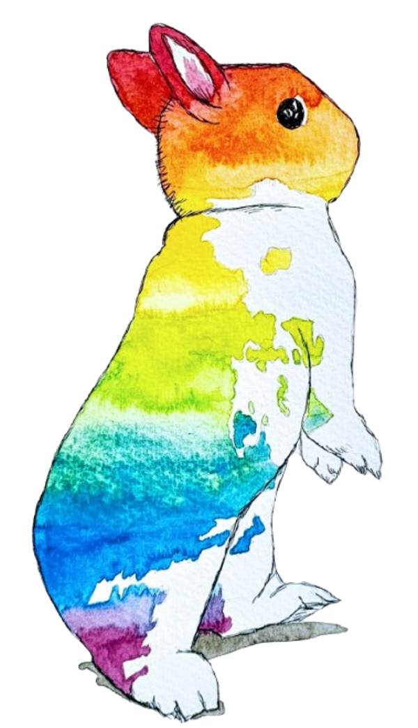 Netherland Dwarf Rainbow Vinyl Sticker