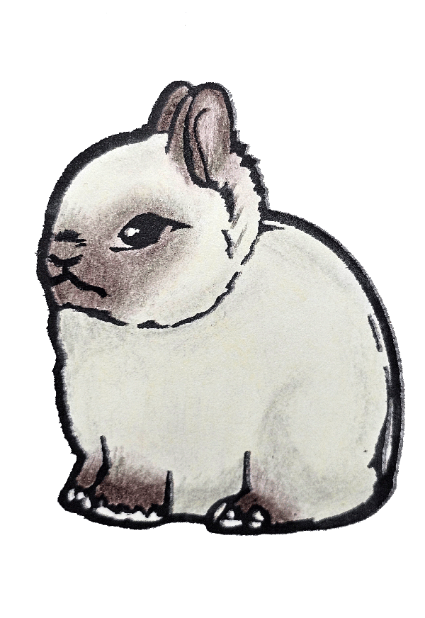Sable Point 2" Vinyl Netherland Dwarf Sticker