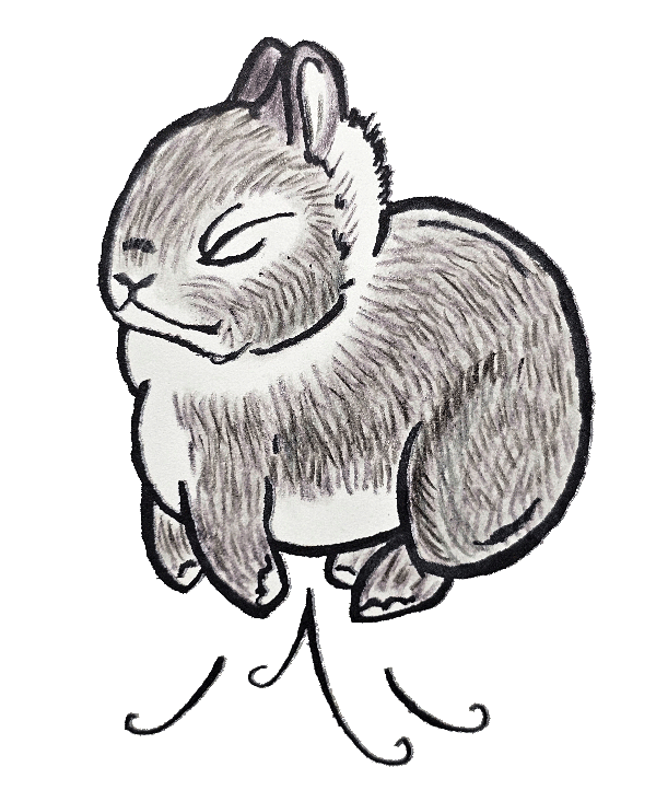 Squirrel 2" Vinyl Netherland Dwarf Sticker