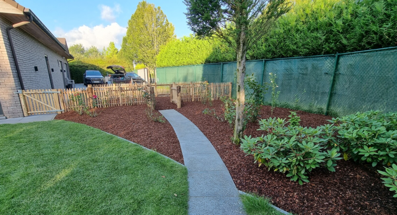 Schorsen Pinus Maritime