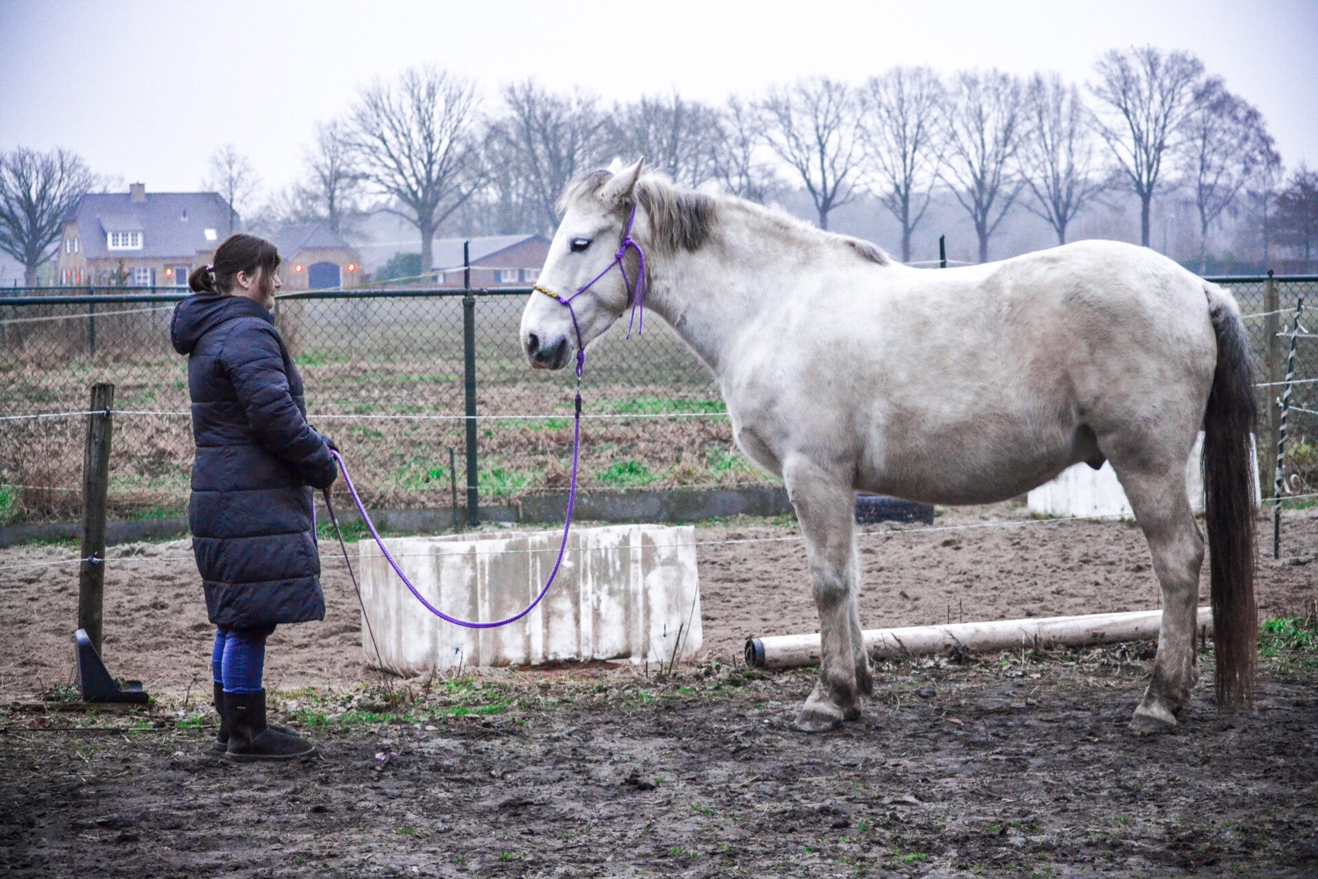 Training/Lessen