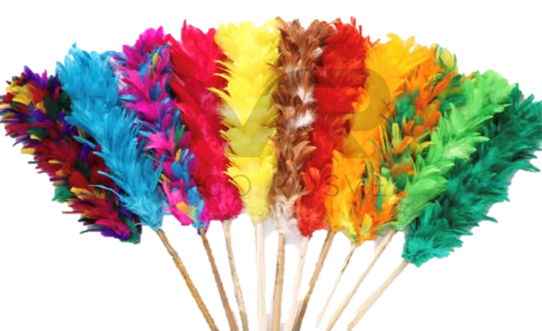 Plumero de Gallina Grande