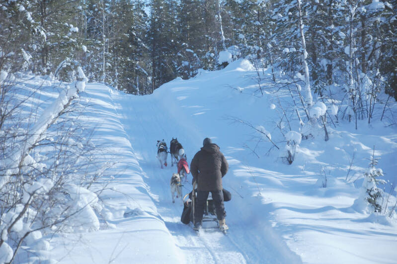 Huskies pulling sled across snowy terrain in Swedish Lapland.