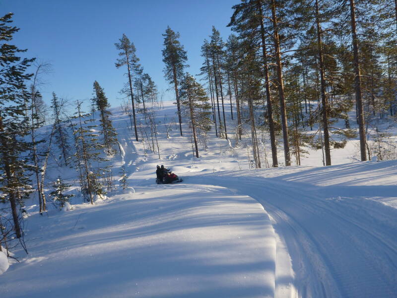 Snowmobile driving through dense forest in Swedish Lapland.