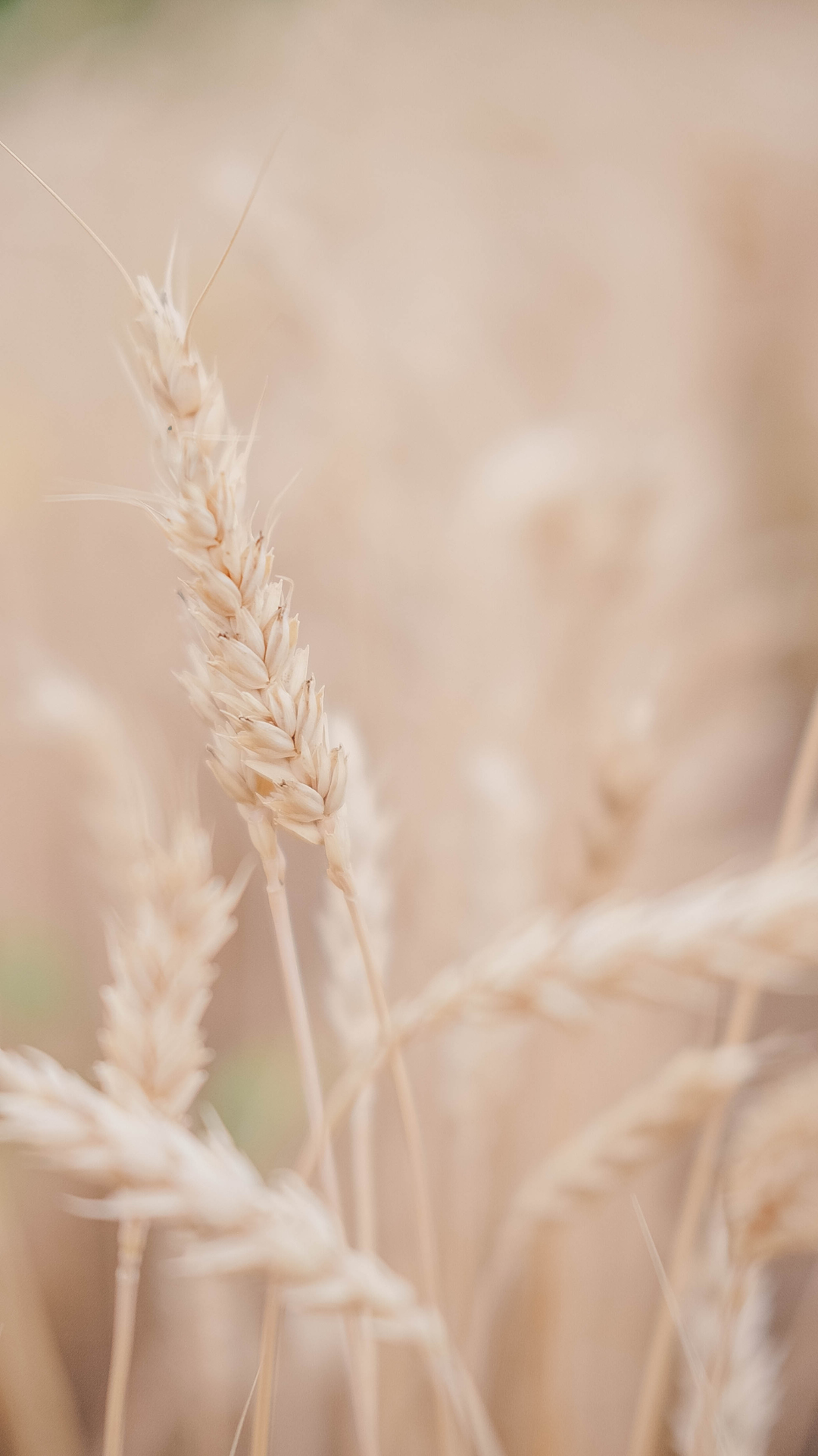 Numérologie de l'âme