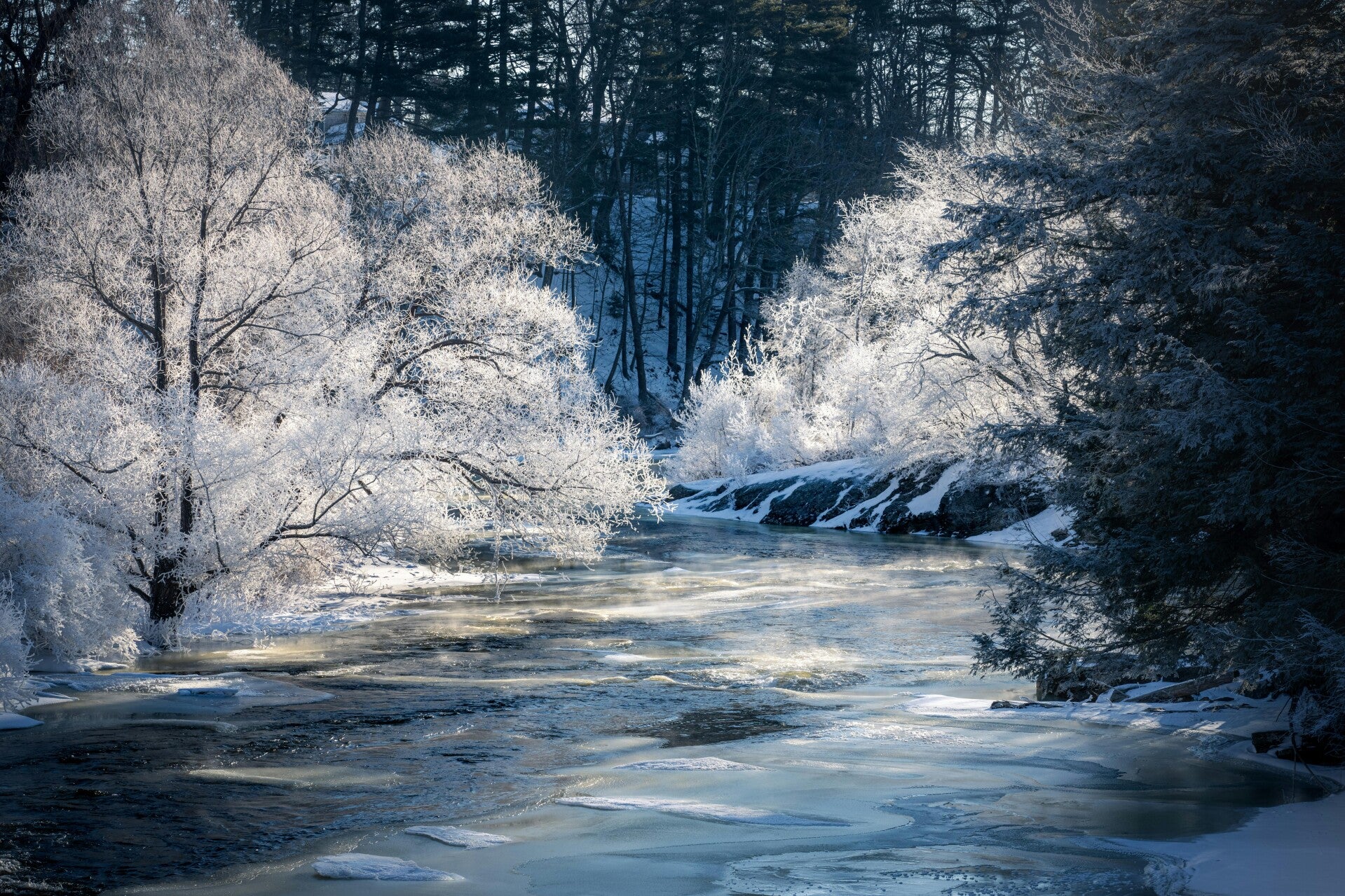 Les bienfaits de la connexion au vivant pour l’être humain
