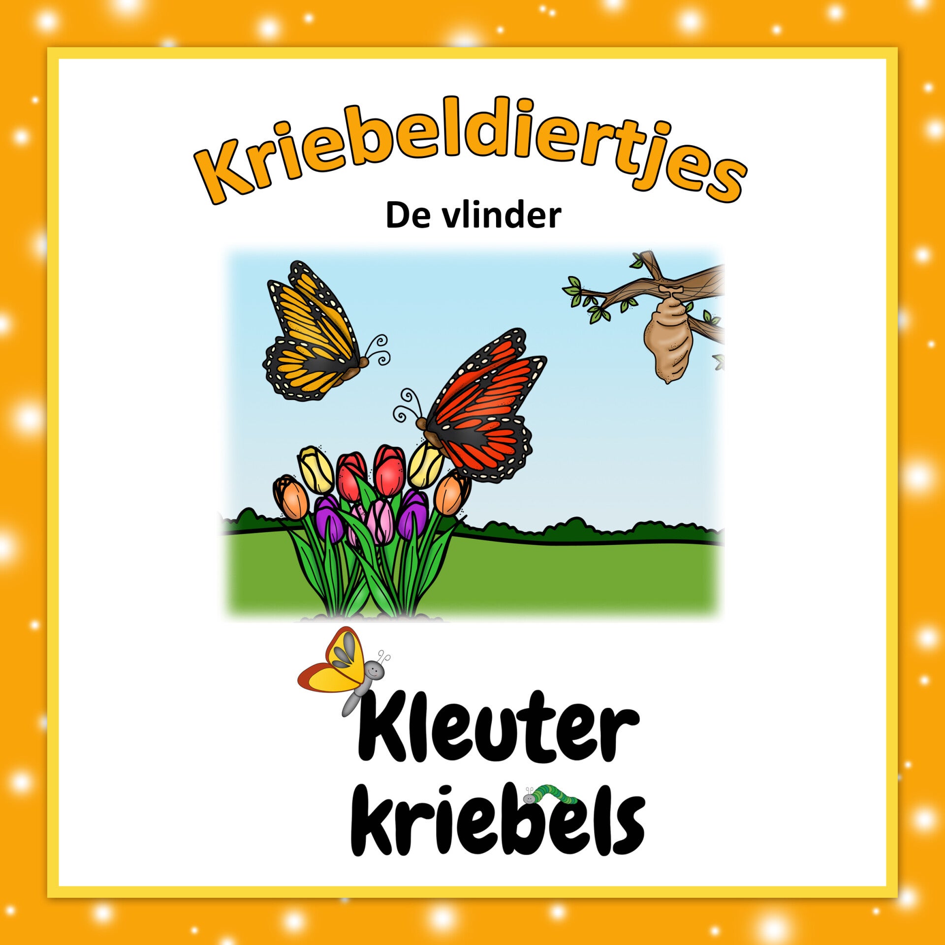 Mini thema: Kriebeldieren - de vlinder