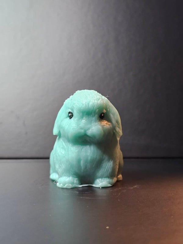 Ernie Blueberry Holland Lop Soap