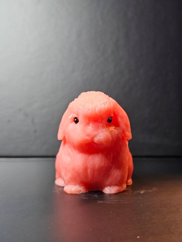 Prue Watermelon Holland Lop Soap