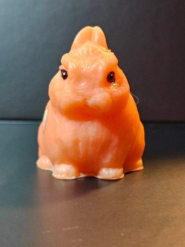 Bea Grapefruit Netherland Dwarf