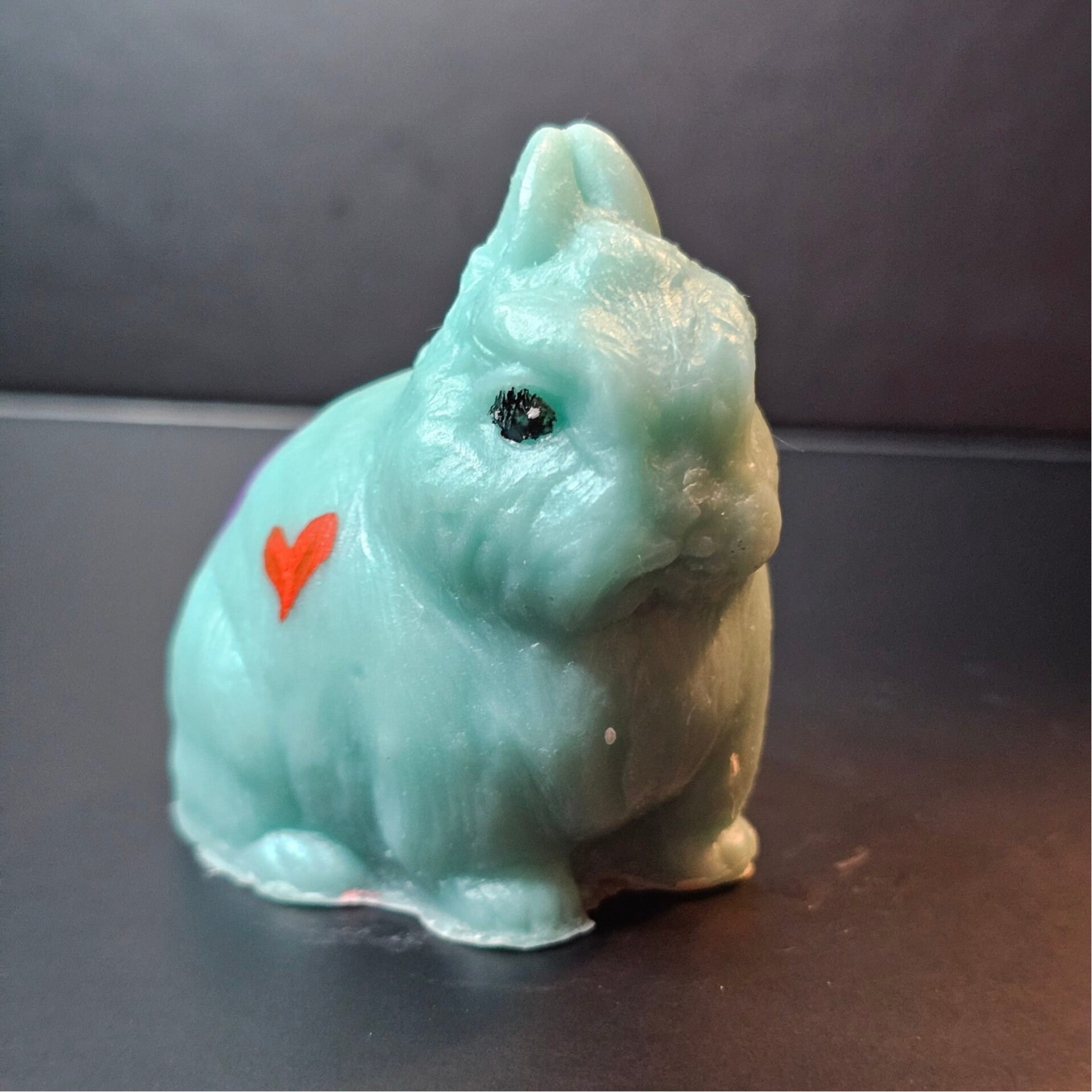 Fonda Blueberry Netherland Dwarf
