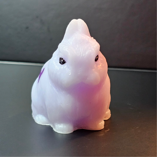 Toby Lavender Netherland Dwarf