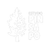 ESTUDIO PINSAPO