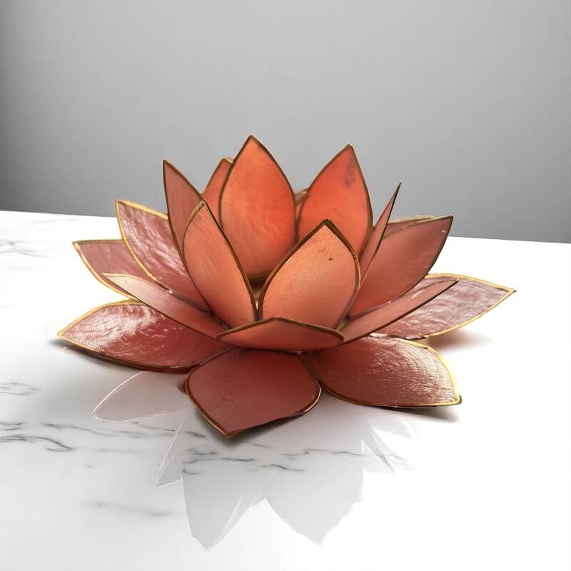 Lotus sfeerlicht | Pastel Roze goudgerand | Little Dfly