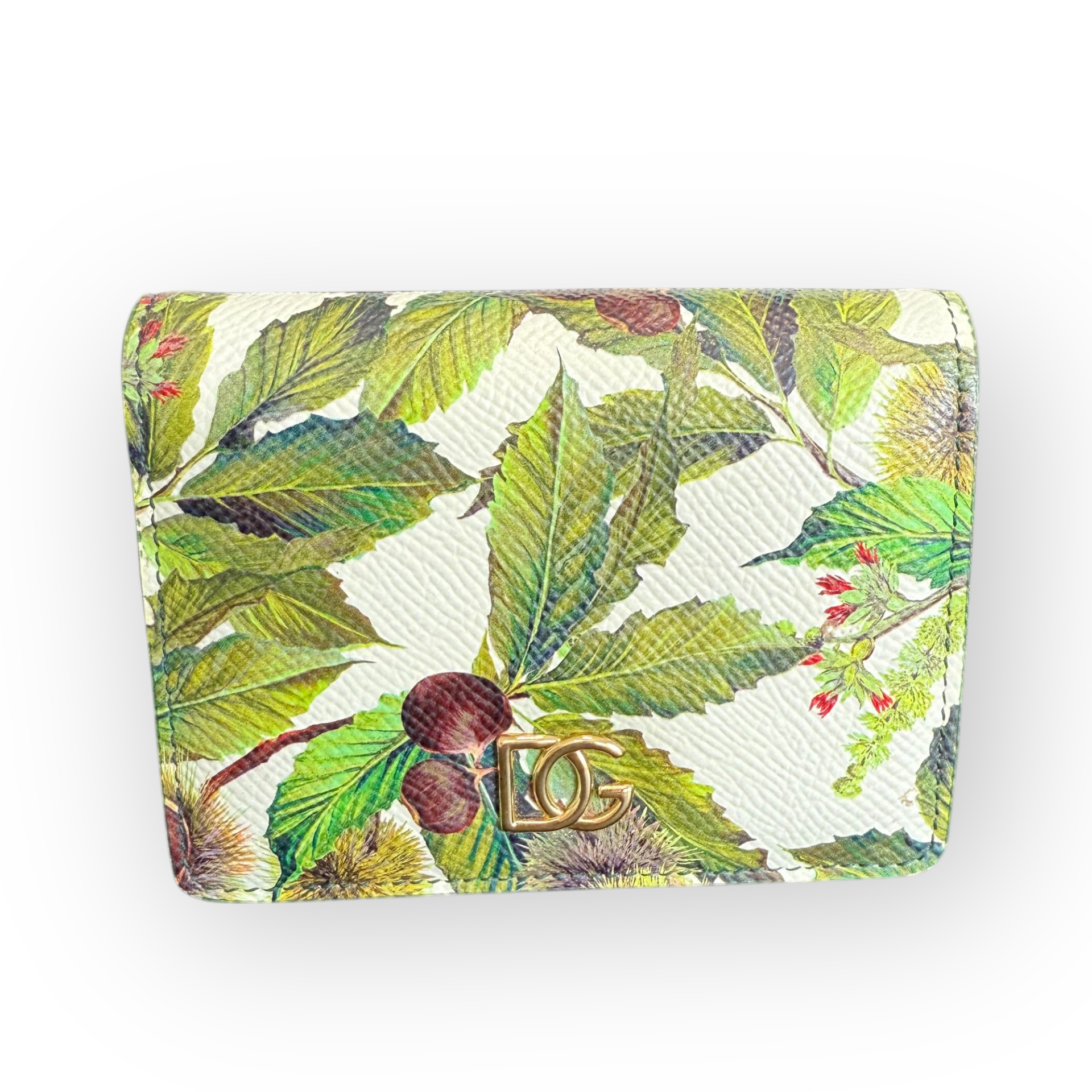 Dolce & Gabbana Wallet Castagna Print