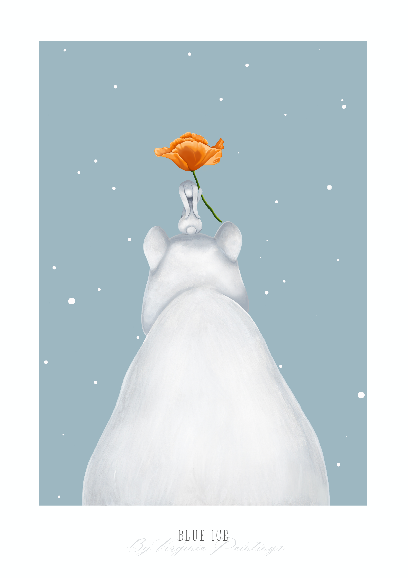 Arctic Poppy