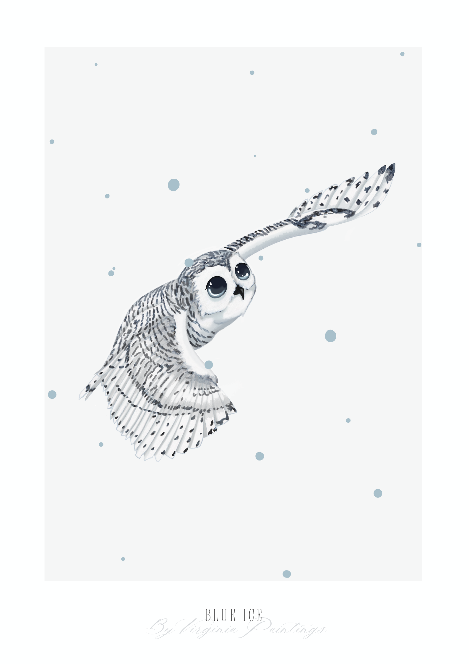 Snowy Owl