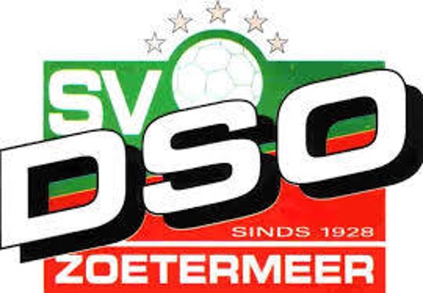 Trainingsprogramma DSO