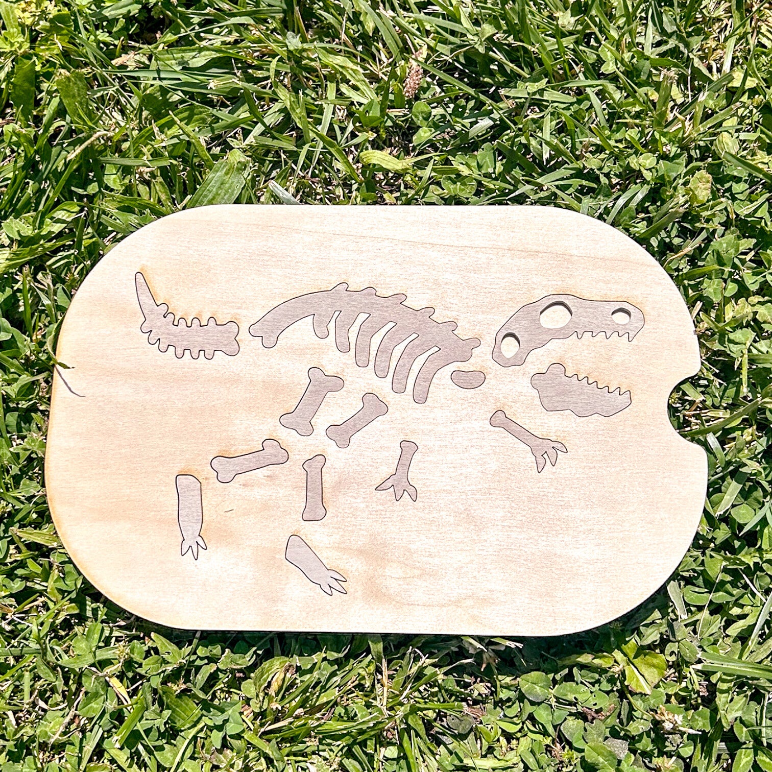 🦖 Plaque Dinosaure – Activité Fouille & Puzzle