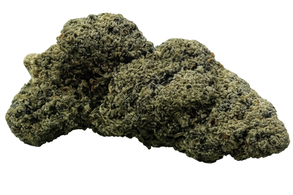 Mango TNT