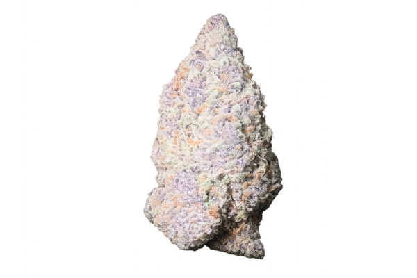 Pulsar Molécule