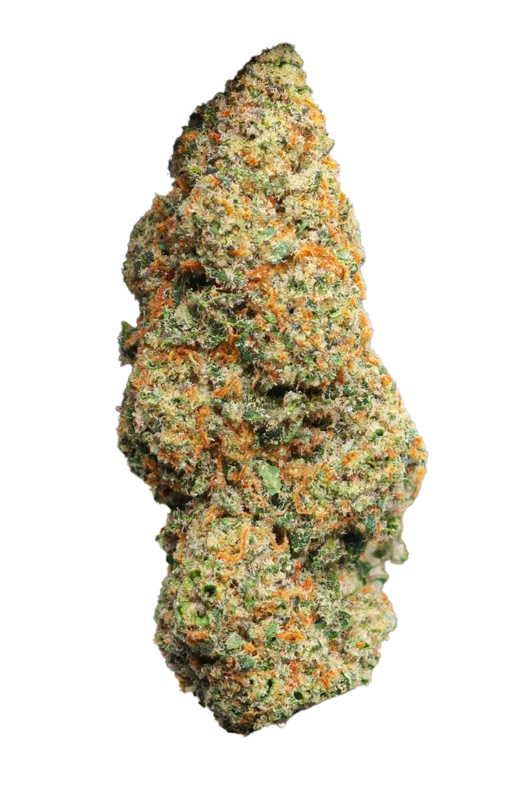 Bubble Cheese