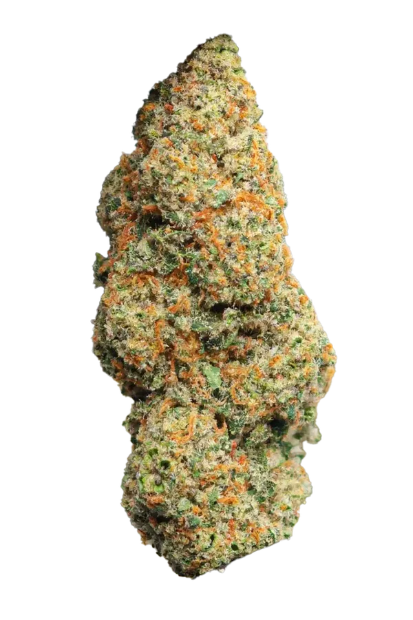 Bubble Cheese