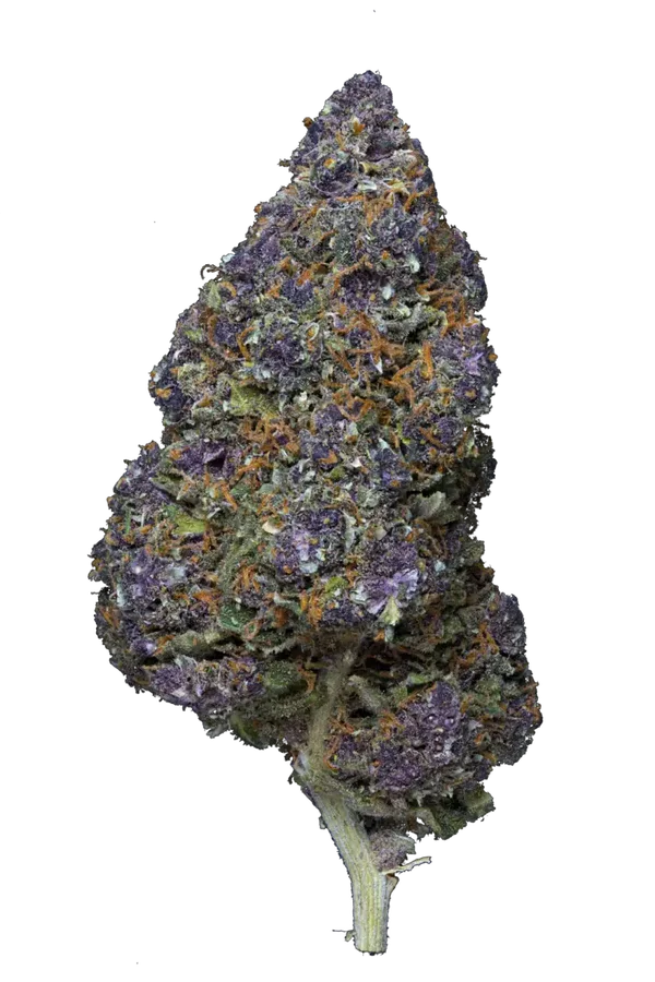 Saphir kush