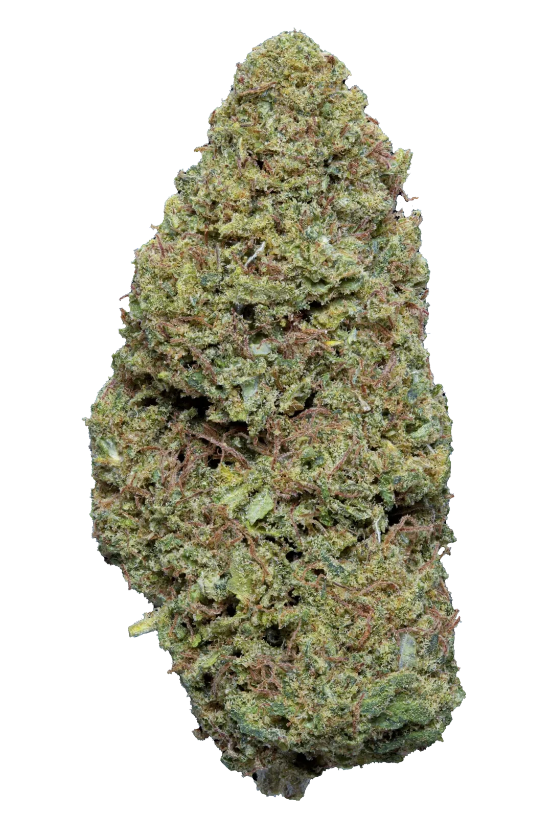 Super Silver Haze