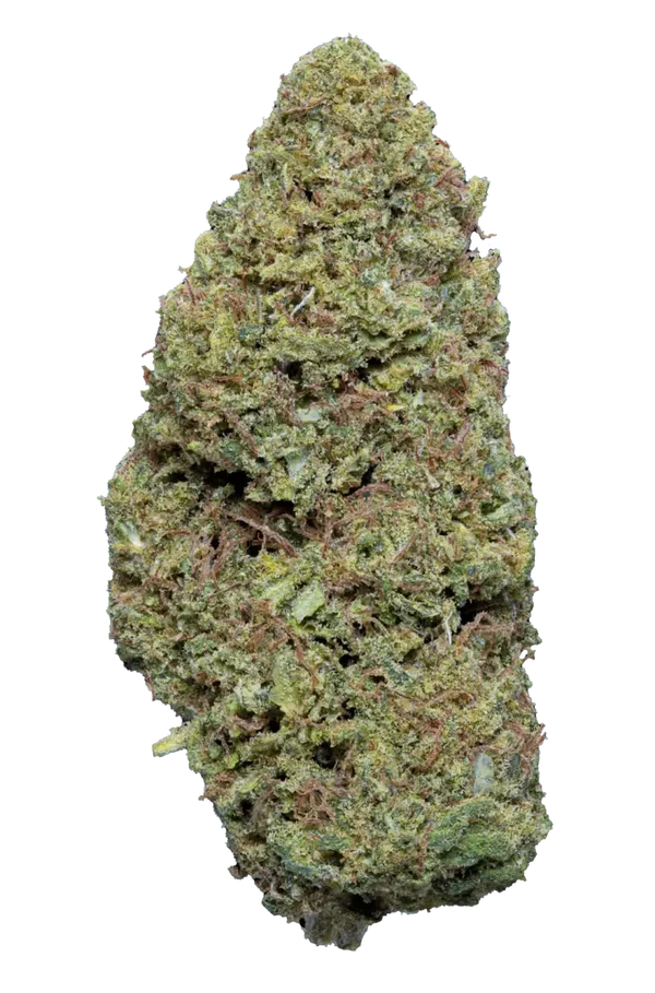 Super Silver Haze