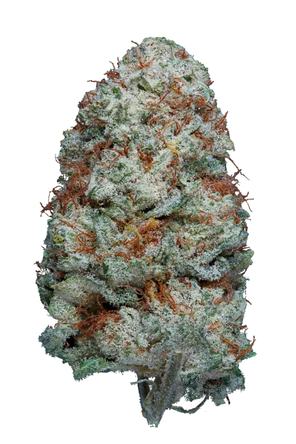 White Widow