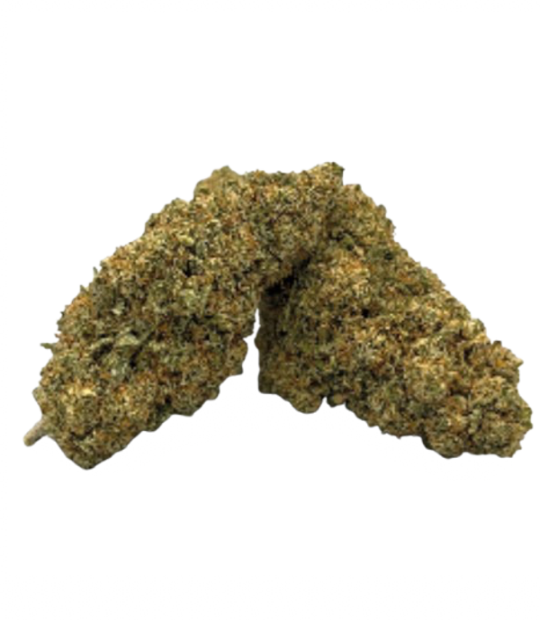 SUNSET SHERBET X BUBBLE GUM