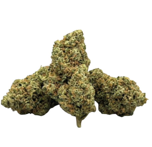CHOCOLOPE