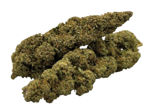 AMNESIA
