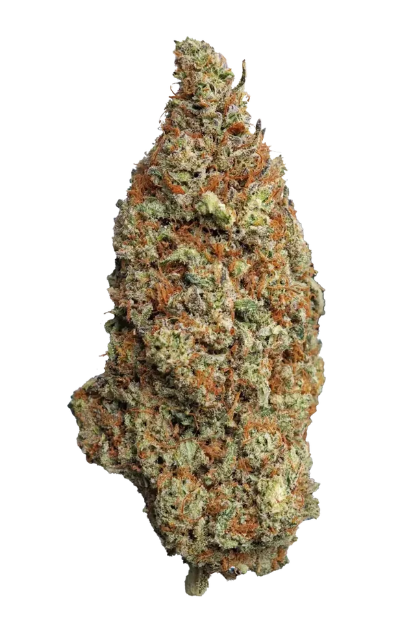 FATHER OG