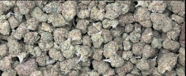 TROPICANA BANANA ( SMALL BUD )