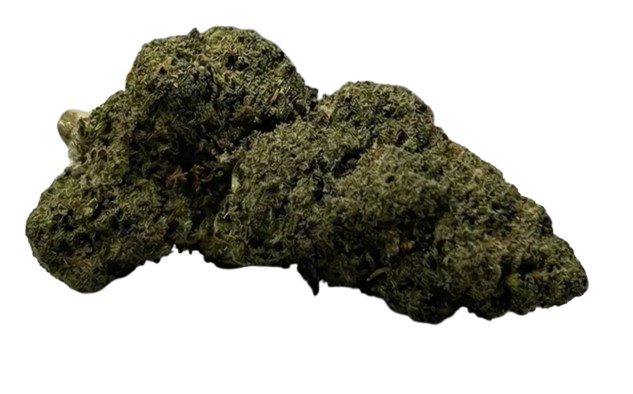 Gelato TNT