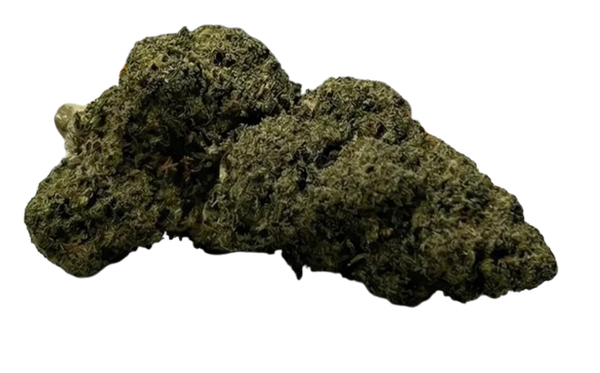 Gelato TNT