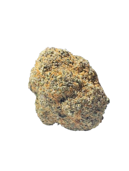 Santa Cruz
