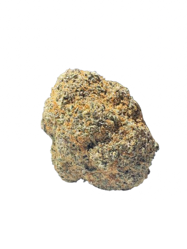 Santa Cruz