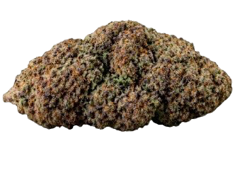 Cosmic Cookies Molécule