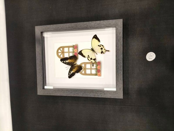 Double on a window