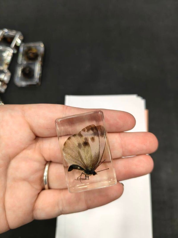 Resin #14