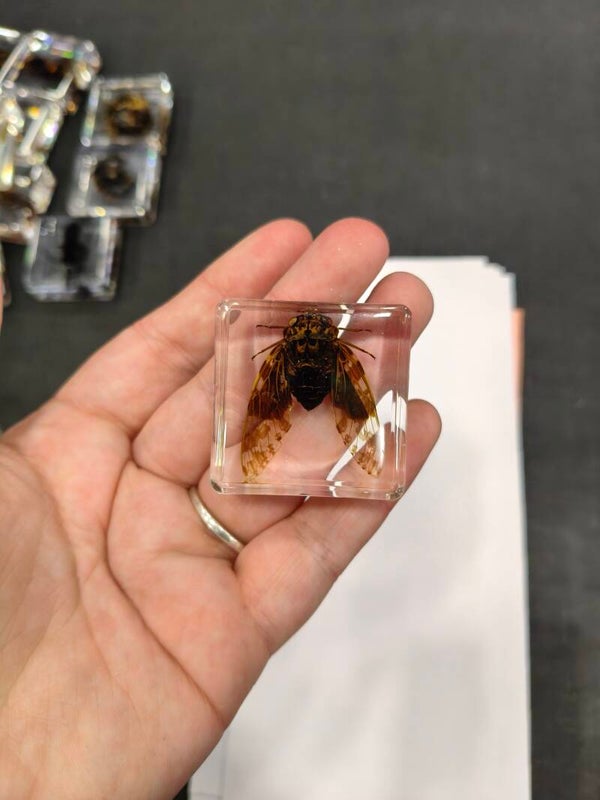 Resin #9
