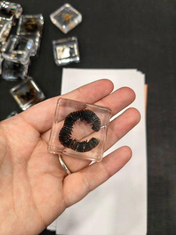 Resin #5